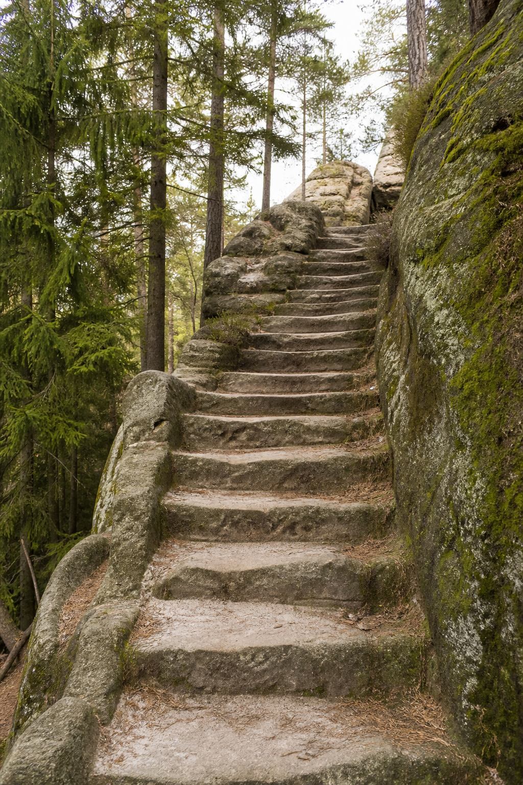 Steinerne Treppenstufen durch Fichtenwald zu einem Sandsteinplateau